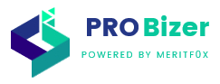 Probizer Logo